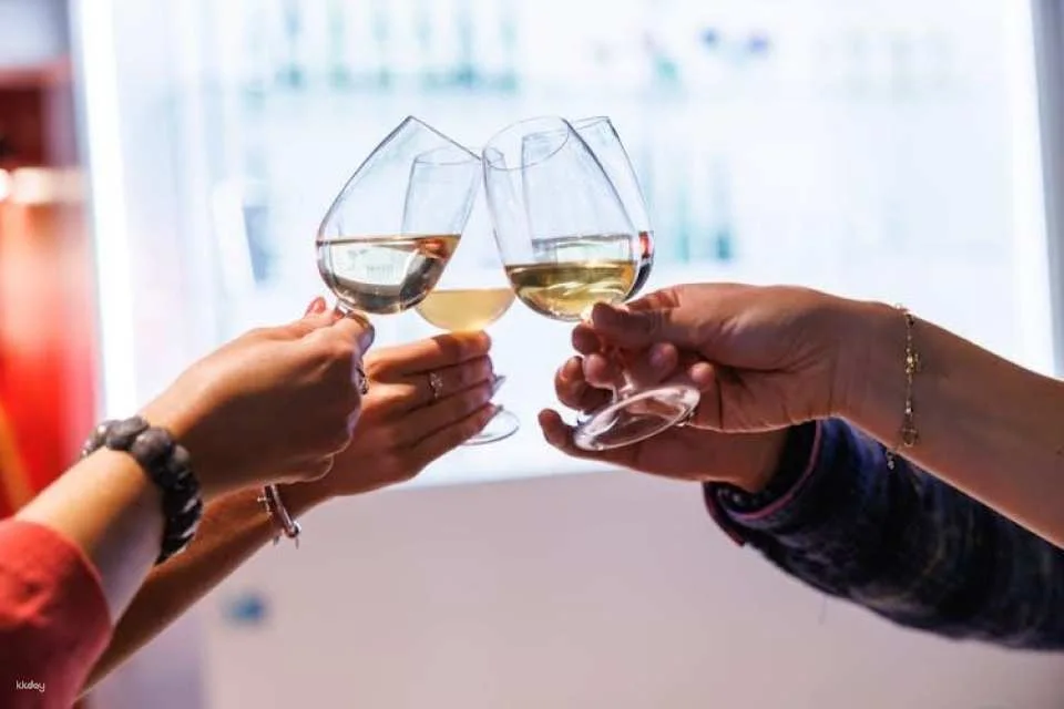 Tickets for Alsace Wine Museum in Colmar