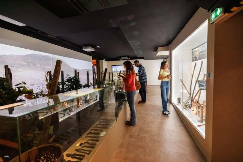Tickets for Alsace Wine Museum in Colmar