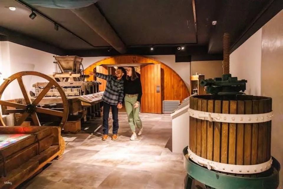 Tickets for Alsace Wine Museum in Colmar
