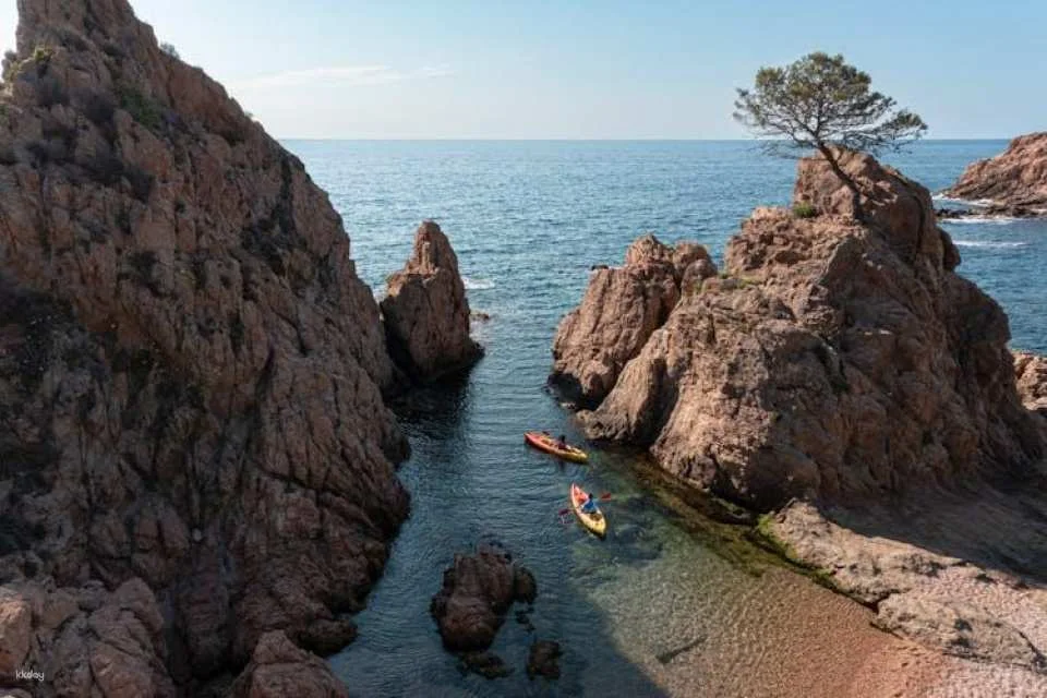 Costa Brava full-day excursion to Tossa de Mar from Barcelona