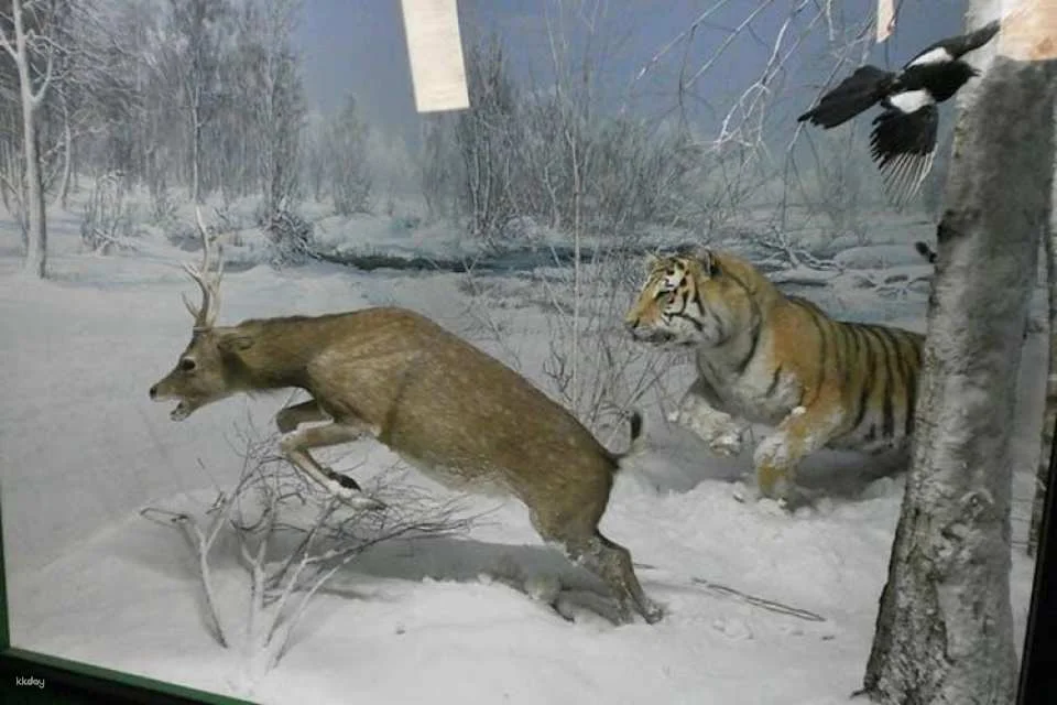 Milan Natural History Museum entry ticket with audio guide
