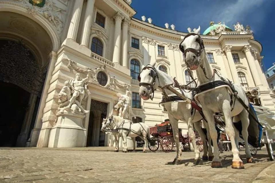 Skip-the-line Sisi Museum, Imperial Apartments and Hofburg tour