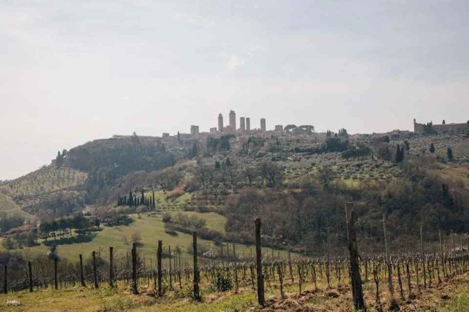 Pisa, Siena, San Gimignano, Chianti Trip with Optional Leaning Tower