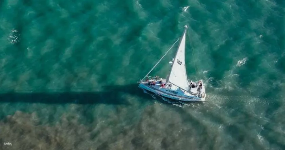 Tagus River private boat tour