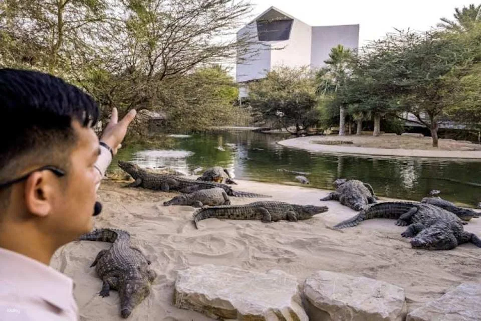 Dubai Crocodile Park Admission Ticket