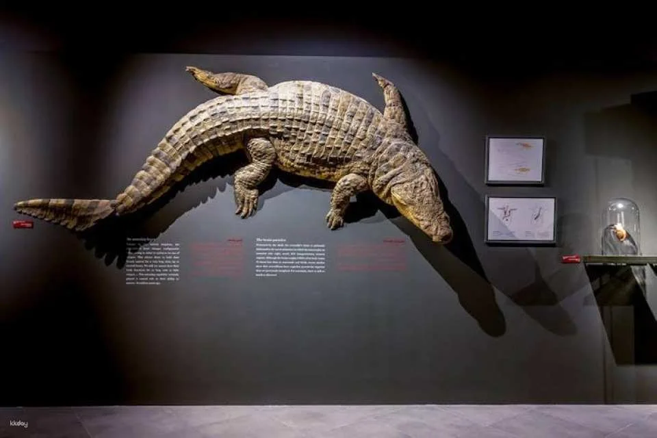 Dubai Crocodile Park Admission Ticket