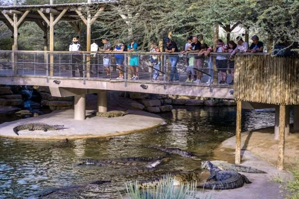 Dubai Crocodile Park Admission Ticket