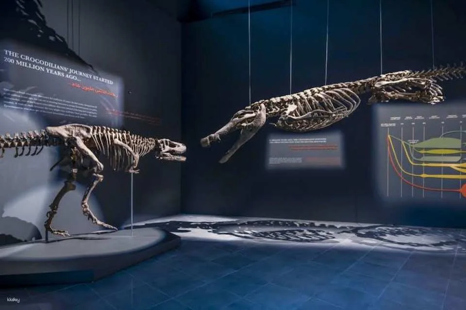 Dubai Crocodile Park Admission Ticket