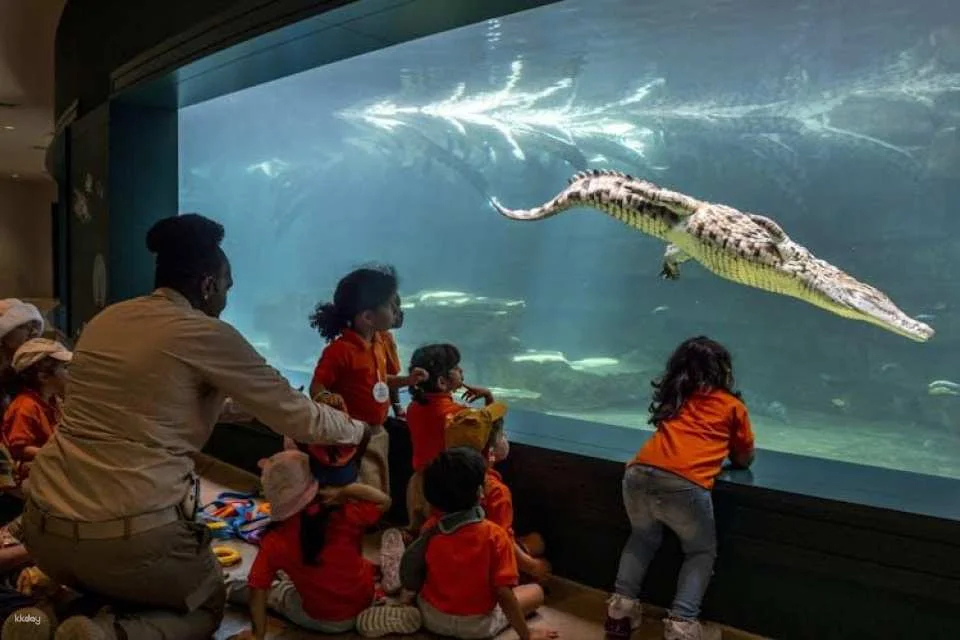 Dubai Crocodile Park Admission Ticket