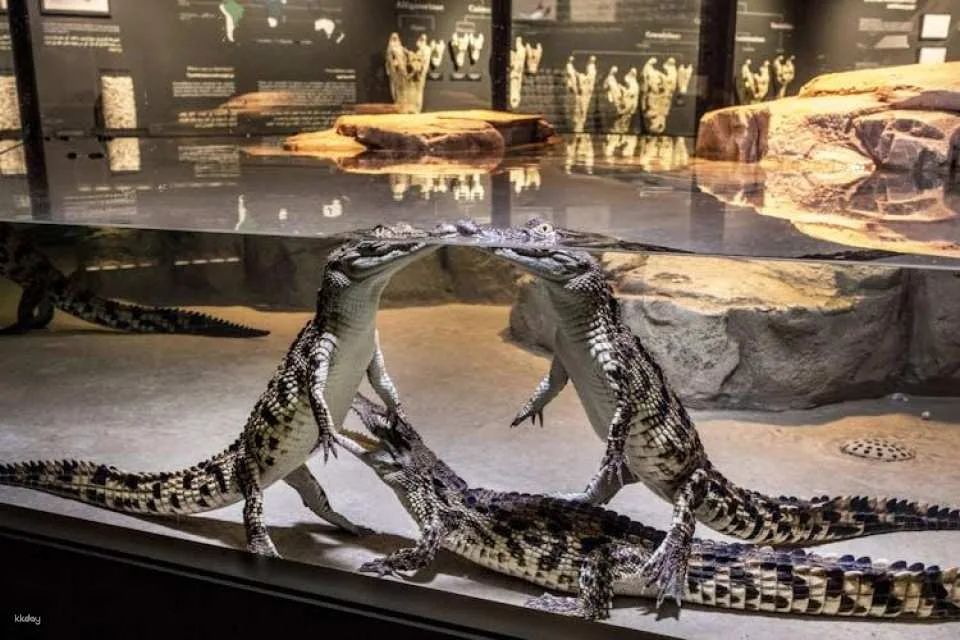 Dubai Crocodile Park Admission Ticket