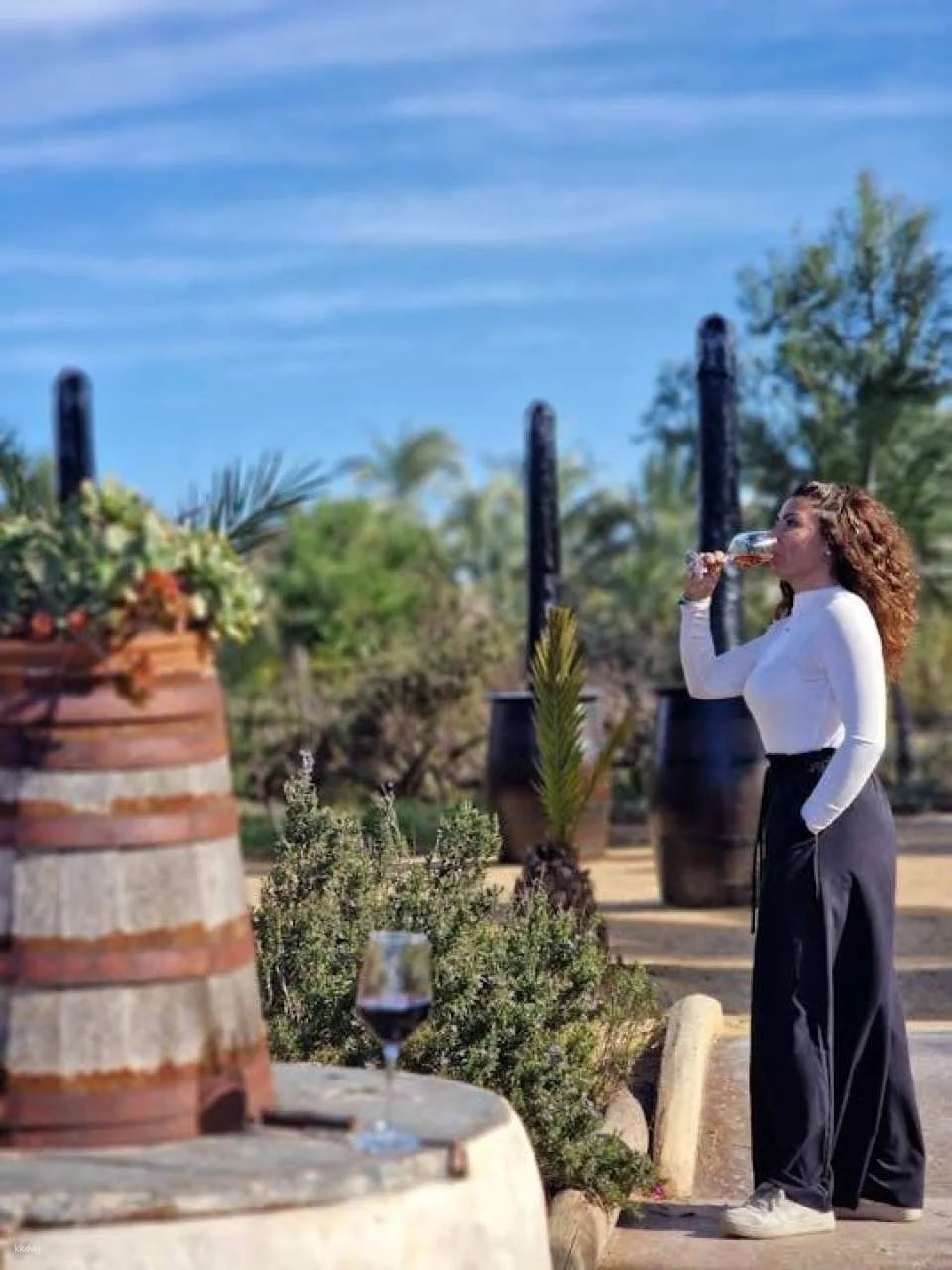 Wine tasting and tapas guided tour from Alicante