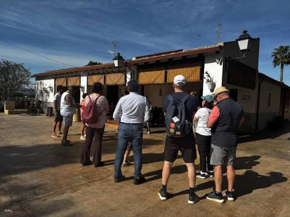 Wine tasting and tapas guided tour from Alicante
