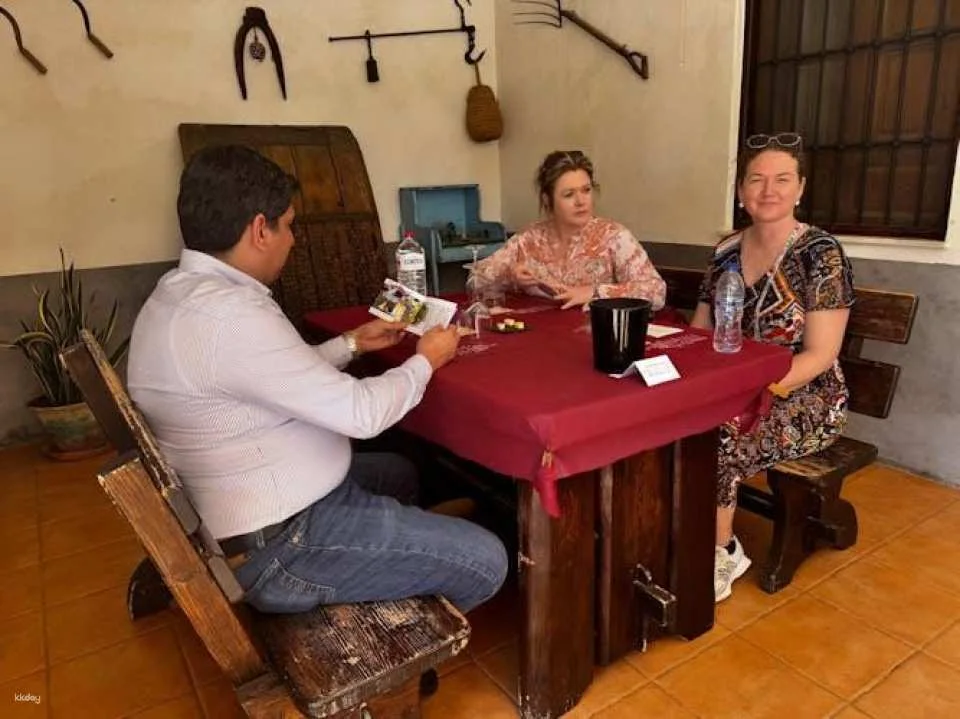 Wine tasting and tapas guided tour from Alicante