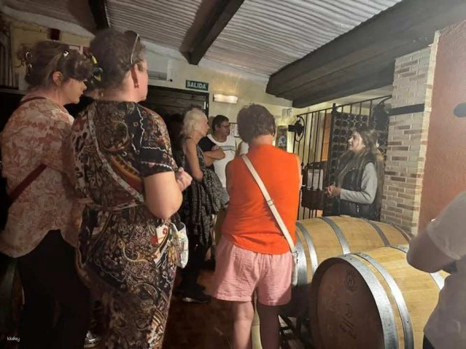 Wine tasting and tapas guided tour from Alicante