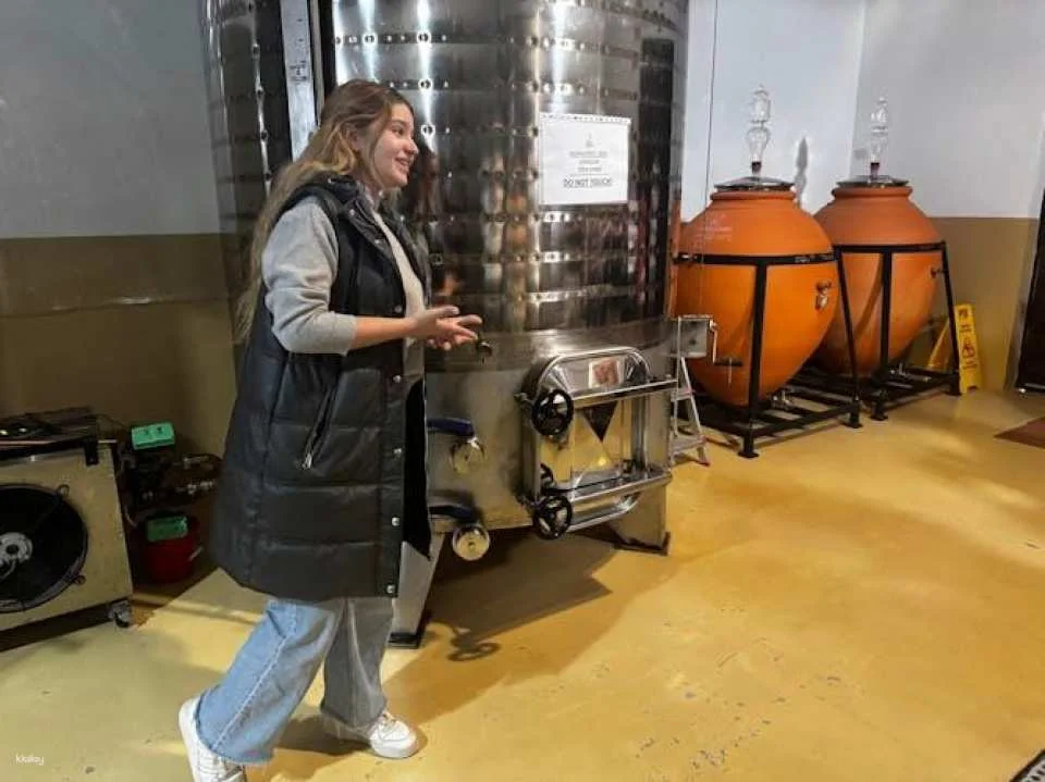 Wine tasting and tapas guided tour from Alicante