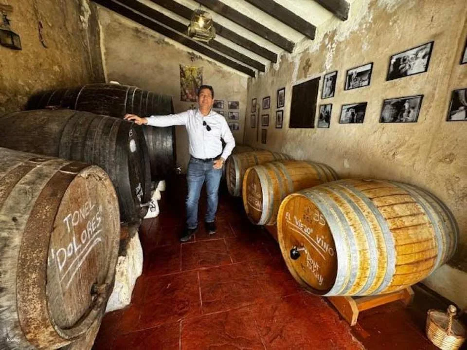 Wine tasting and tapas guided tour from Alicante