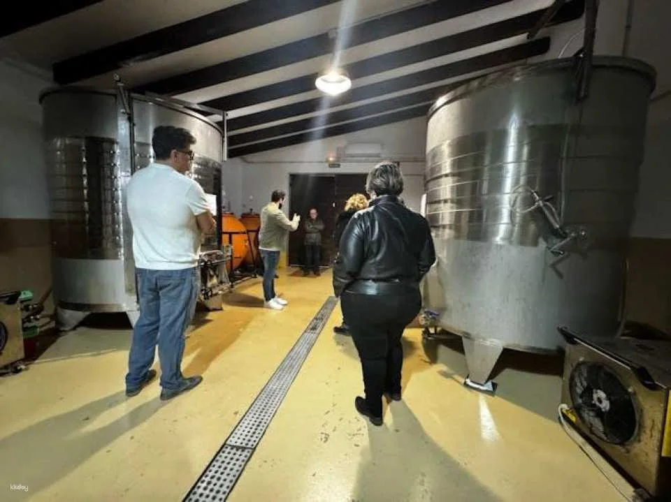 Wine tasting and tapas guided tour from Alicante