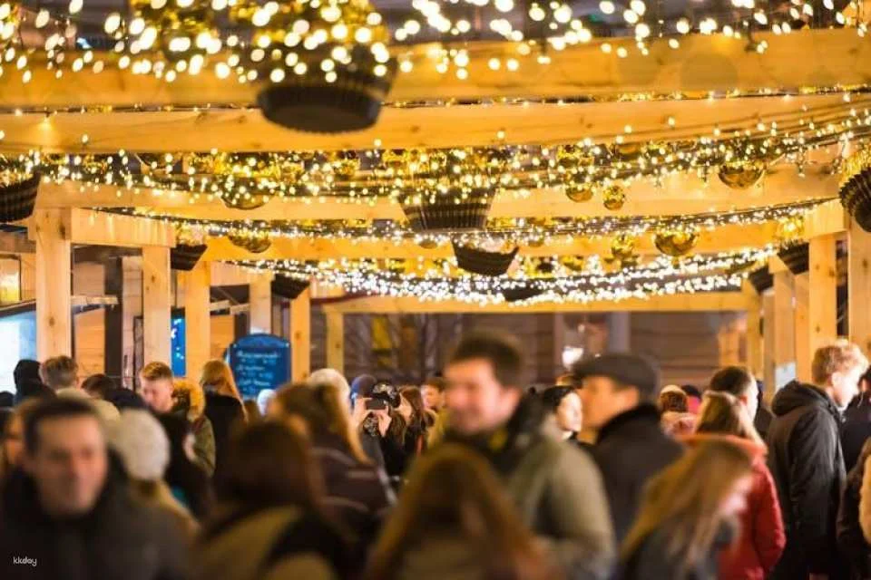 Vienna Christmas Market tour with a local