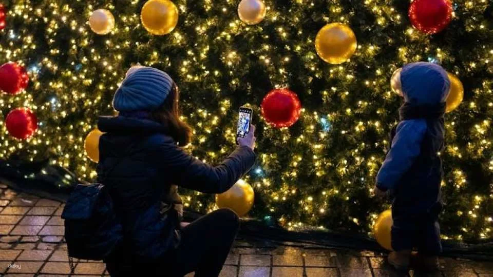 Vienna Christmas Market tour with a local