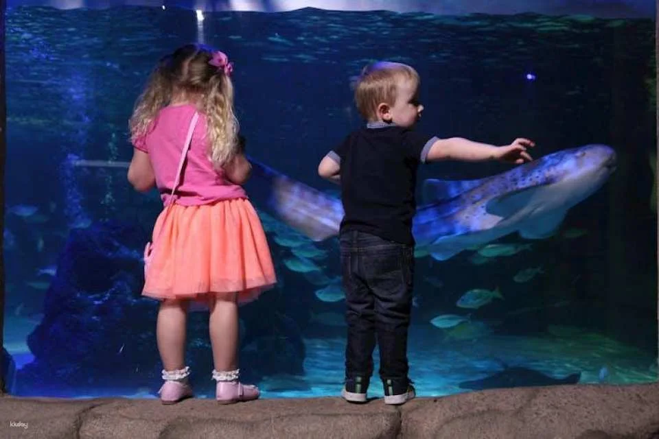 Sea life Blackpool entrance tickets