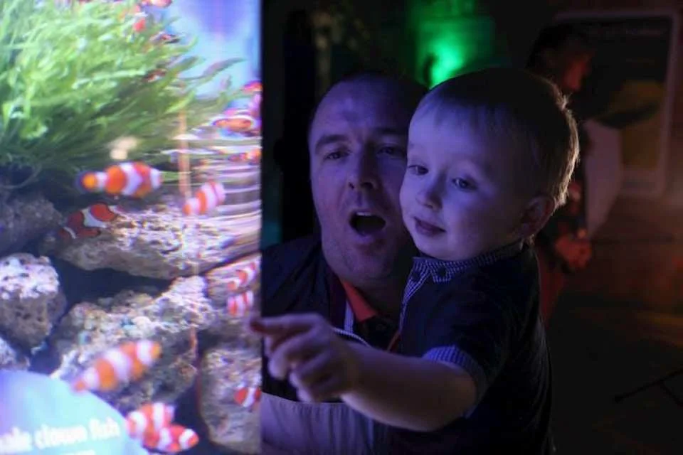 Sea life Blackpool entrance tickets