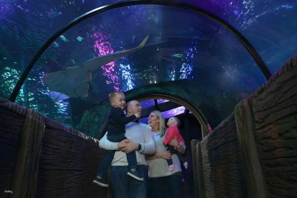 Sea life Blackpool entrance tickets