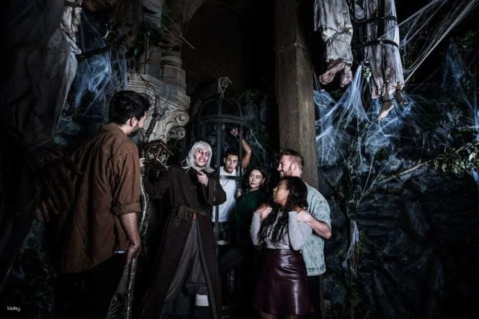 Amsterdam Dungeon entrance ticket
