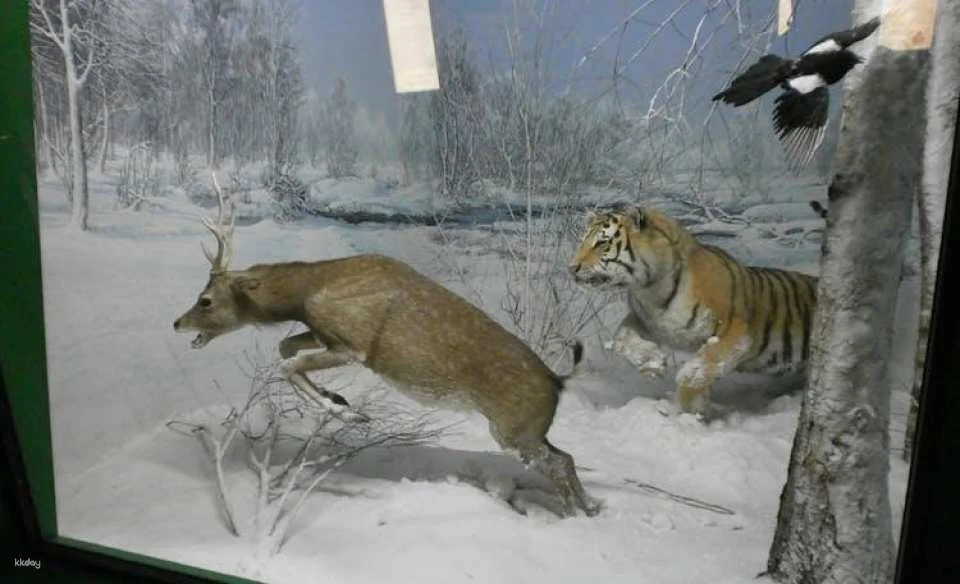 Natural History Museum self-guided audio tour in Milan