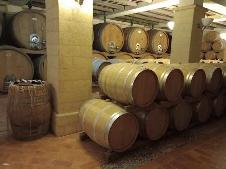Erice and Marsala full-day tour from Palermo with lunch