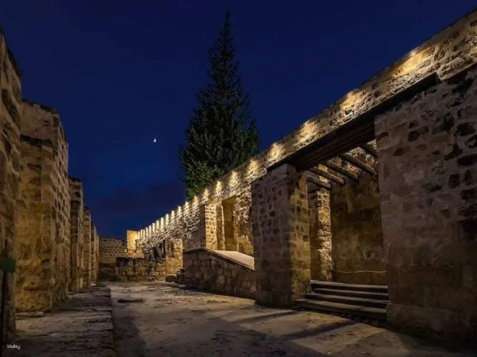 Medina Azahara guided tour at night