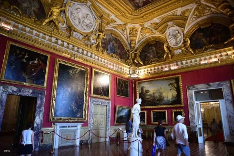 Pitti Palace entrance ticket with eBook