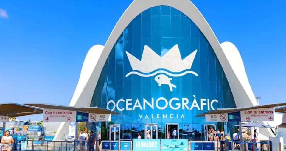 Valencia top attractions MegaPass Classic with Oceanogràfic and Science Museum