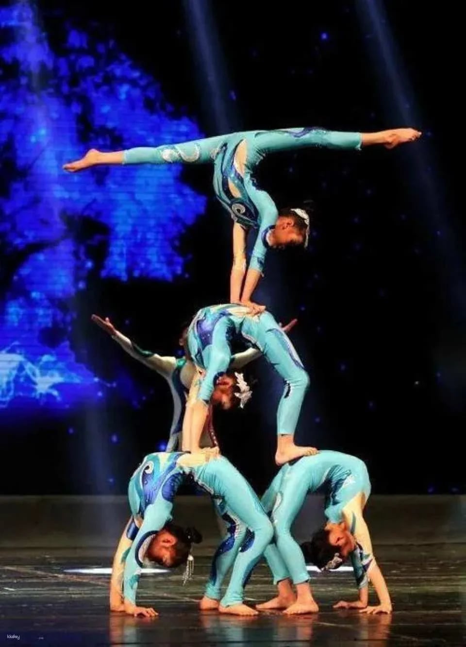 [Beijing] Authentic Chaoyang Circus (Chaoyang Theater, VIP Section)
