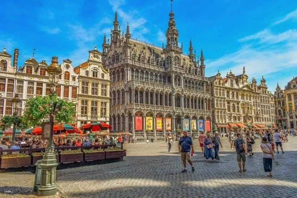 Guided walking tour with optional beer tasting in Brussels