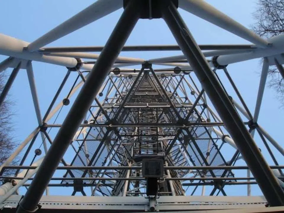 Torre Branca tickets