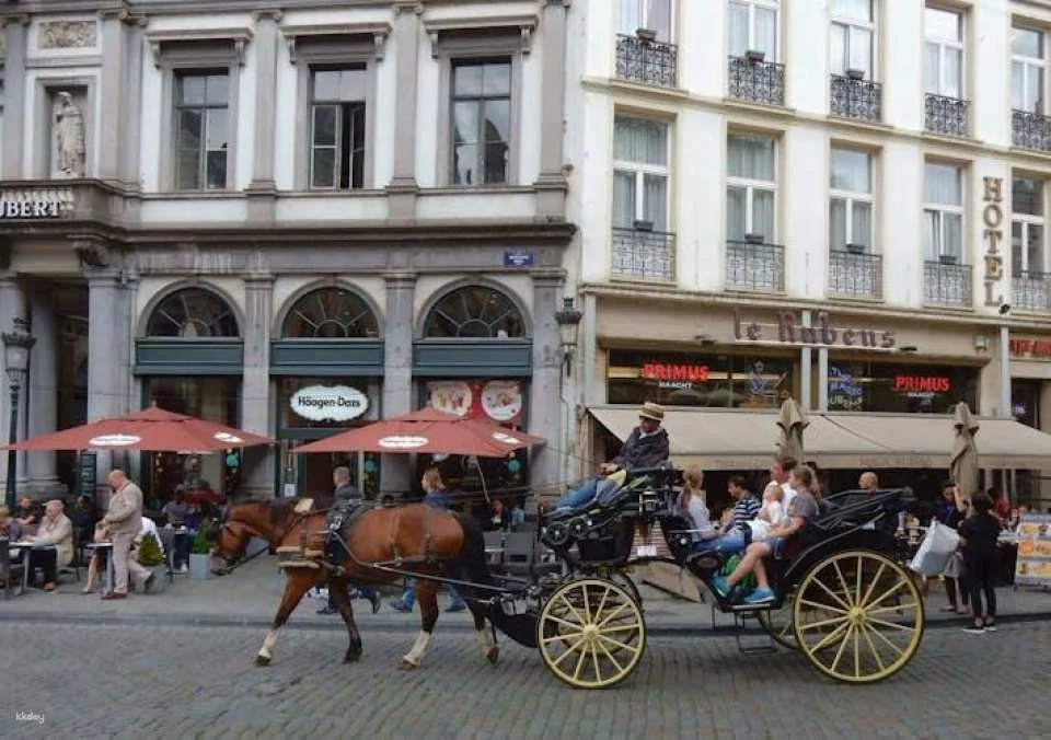 Musical Instruments Museum ticket and Brussels audio tour