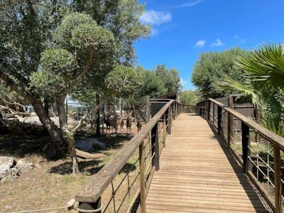Lloc de Menorca Animal Park Ticket