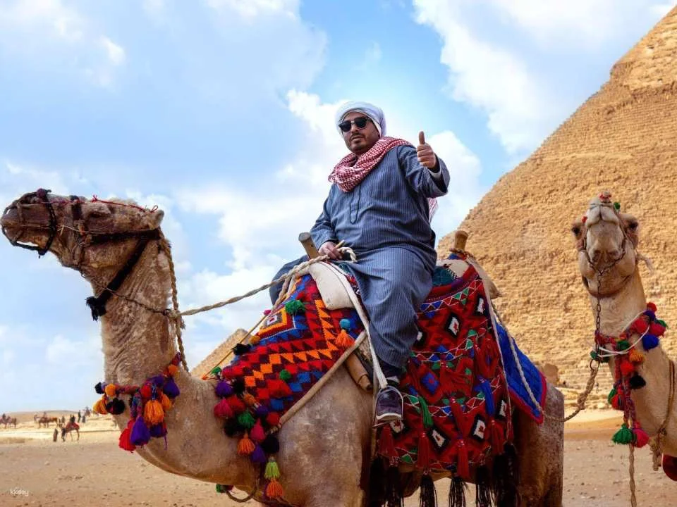 Cairo From Sharm El Sheikh Bus Trip With Guide To Giza Pyramid