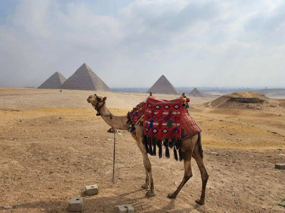 Private Sharm El Sheikh to Cairo Day Trip to Pyramids & Museum