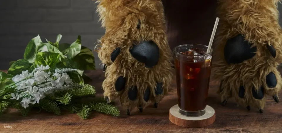 ANAKUMA CAFE in Harajuku, Tokyo | Takeaway Drink and Dessert Coupons (Drinks / Food Sets)