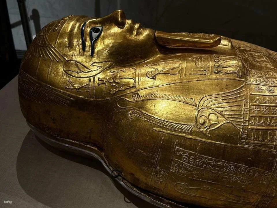 Day Tour Museum Of Egyptian Civilization & Egyptian Museum