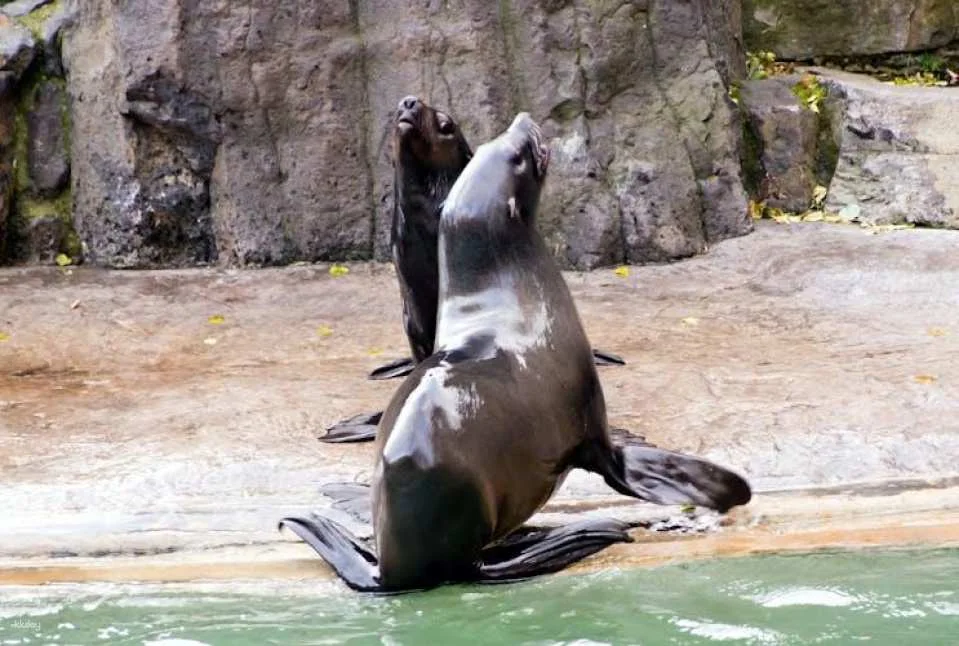 River cruise to the Prague Zoo with entrance ticket