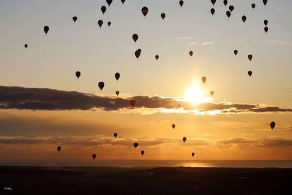 Hot Air Balloon with Transfer