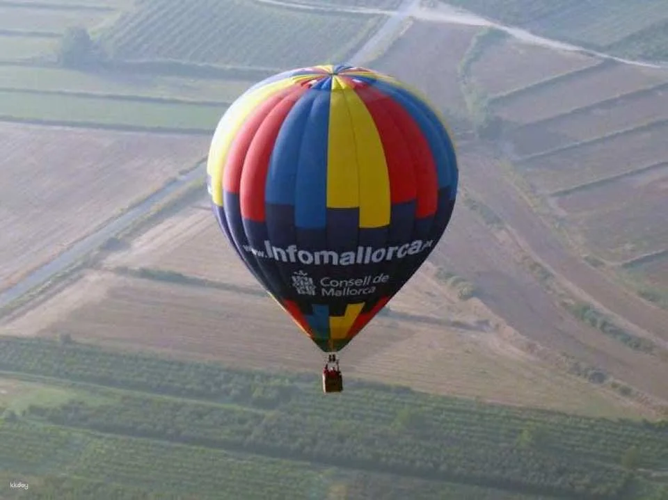 Hot Air Balloon with Transfer