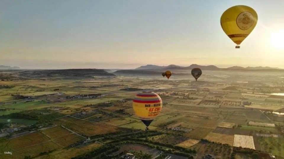 Hot Air Balloon with Transfer