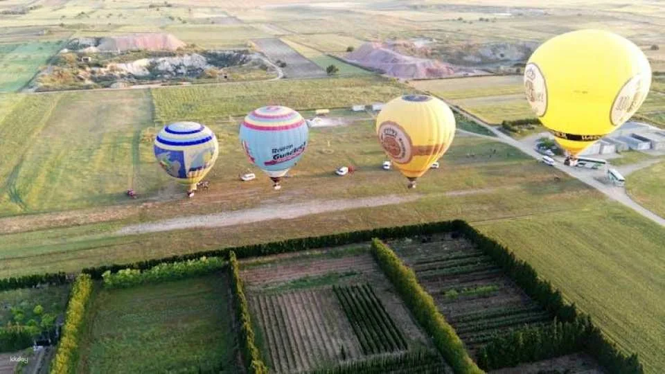 Hot Air Balloon with Transfer