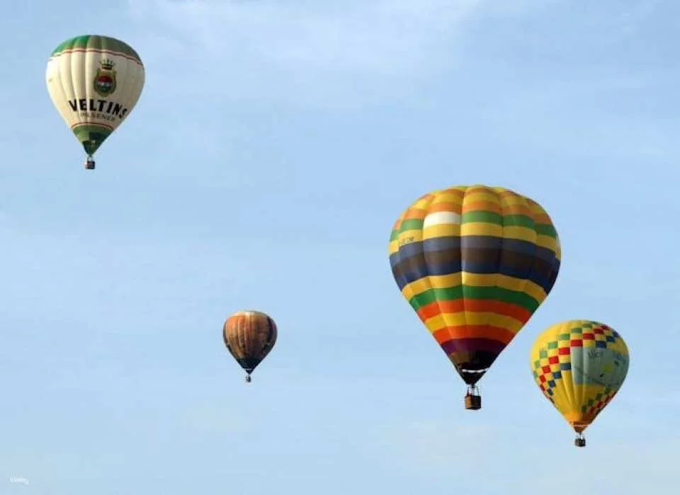 Hot Air Balloon with Transfer