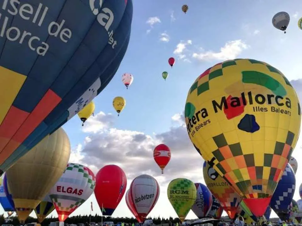 Hot Air Balloon with Transfer