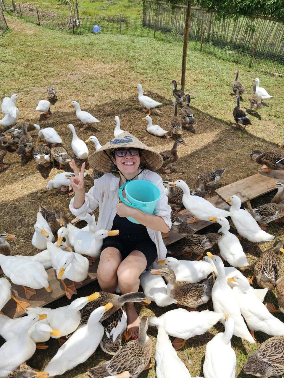 Hoi An: Vietnamese Coffee Workshop & Duck Stop Experience