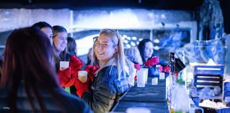 XtraCold Berlin Icebar tickets with complimentary drinks